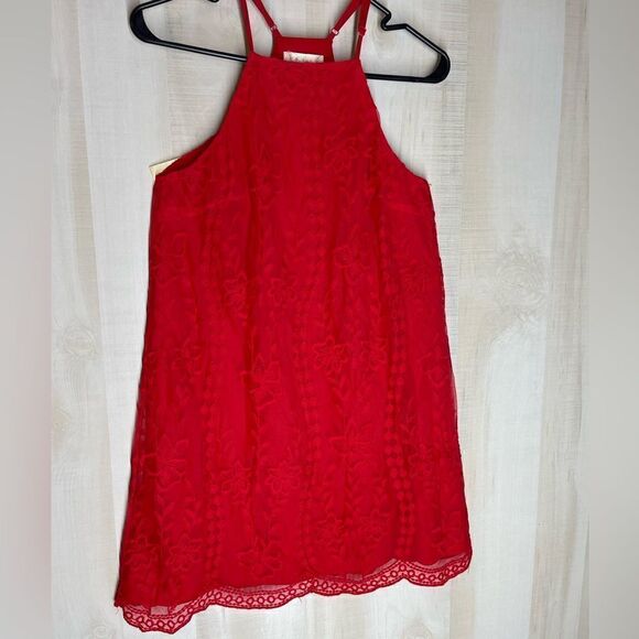 Altar’d State red sleeveless spaghetti strap lined dress, size small - Picture 1 of 16